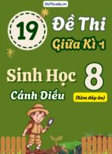 Tuyển tập 19 Đề thi giữa Kì 1 môn Sinh Học 8 sách Cánh Diều (Kèm đáp án)